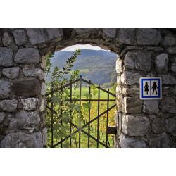 Panneau services toilettes ouvertes au public CE12 - signalisation de toilettes publiques_3