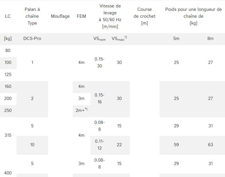 Dcs-pro - palan - demag cranes & components sas - charge jusqu'à 2 500 kg_3