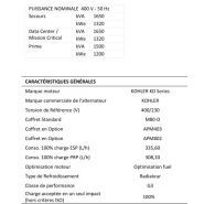 Groupe électrogène 1650 kVA avec alternateur de classe H