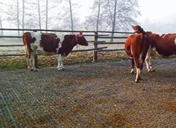 E 40 dalle de stabilisation - agriest elevage_3