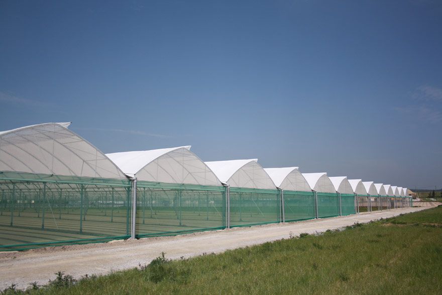 Abri avec chéneau poutre aluminium pour plus de luminosité