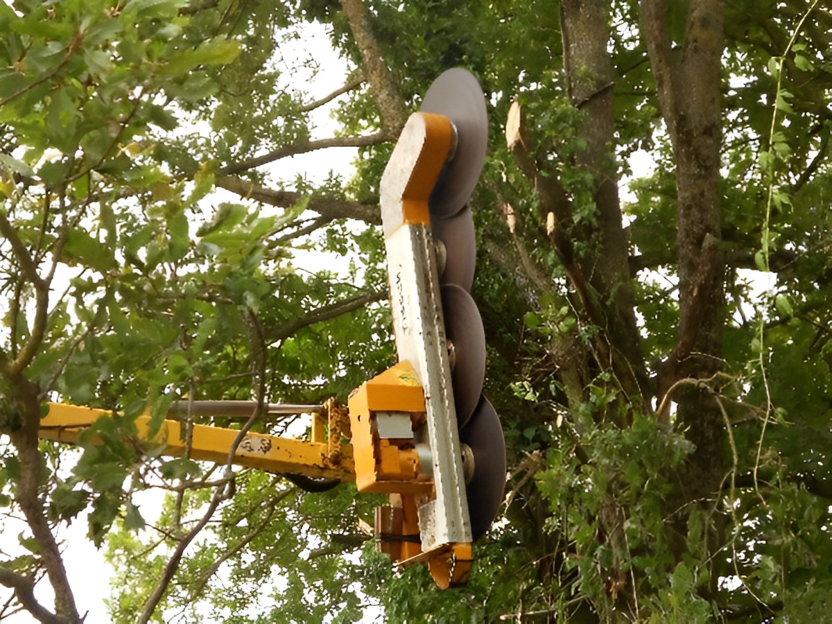 Lamier L.E.M.® KIROGN® à lames interchangeables