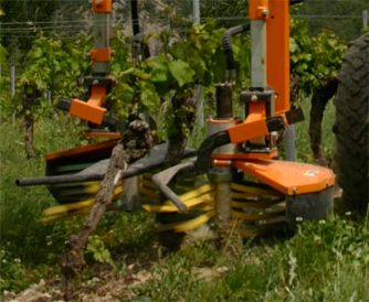 Srb 22-350 - épampreuse mécanique Provitis - hauteur d'épamprage 363mm, cadre enjambeur avec deux têtes d'épamprage_3