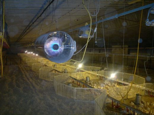 G36-16 - Générateur d'air chaud à gaz - Série G - 16 kW - Acier inoxydable - Haut rendement_3