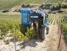 Cueilloir 96 h machine à vendanger - Bobard avec dispositif de récolte EMS breveté et vibreurs inox_3