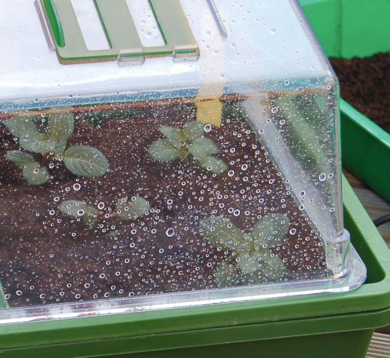 Mini serre chauffante pour semis - 'Heating Grow' - idéale pour vos plantations_3