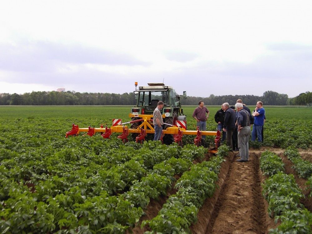 Sb02 - Butteuse agricole ZIBO - Châssis renforcé, rabattage hydraulique, 4 ou 8 rangs avec parallélogrammes_3