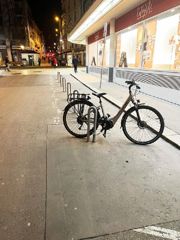 Épingle à vélo galvanisé avec platine - H 690 × Ø 40 mm - 300_3