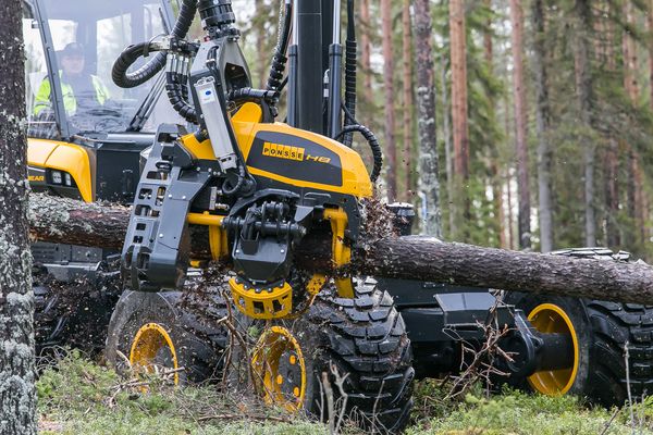Tête forestière H8 adaptée aux transporteurs sur chenilles