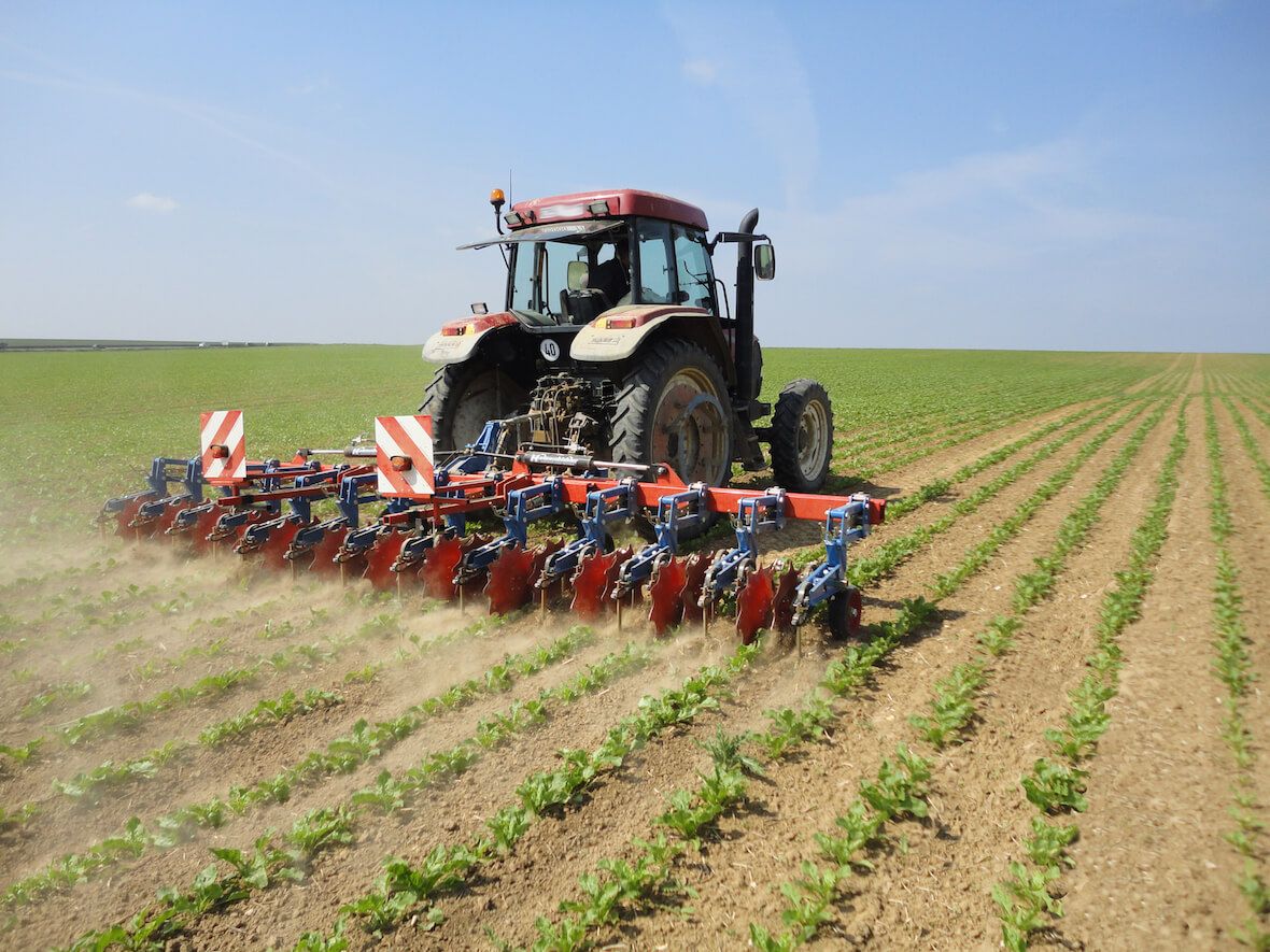 Bineuse spéciale betterave - Thomas Hatzenbichler Agro-Technik - barre profilée avec montage 3 points et disques stabilisateurs montés sur roulements à billes_3