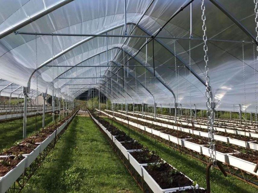 Serre à travées multiples à structure gothique conçue pour les régions soumises à de fortes chutes de neige - Multieasy_3