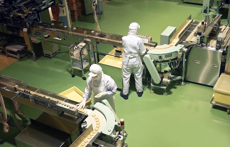 Élévateur agroalimentaire - configurations personnalisées - inox alimentaire et bande transporteuse_3