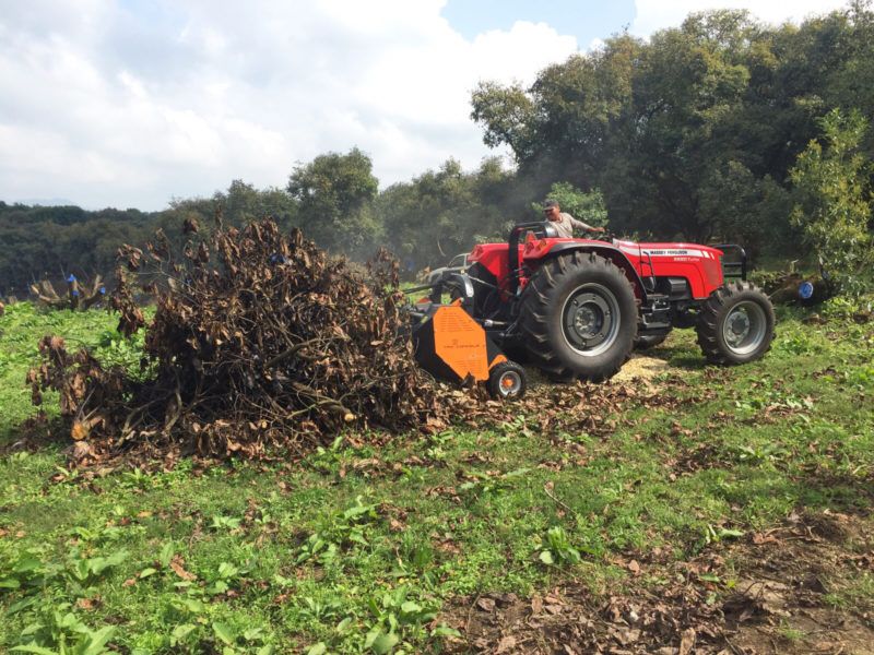 Tos broyeur forestier - TMC Cancela - largeur de travail 150 à 210 cm - puissance 110 à 200 HP_3