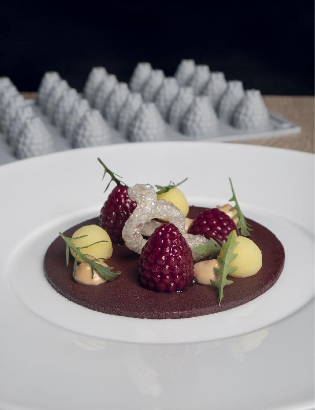 Berry - Moule en silicone Gourmand Horeca Pavoni Italia - 35 empreintes_3