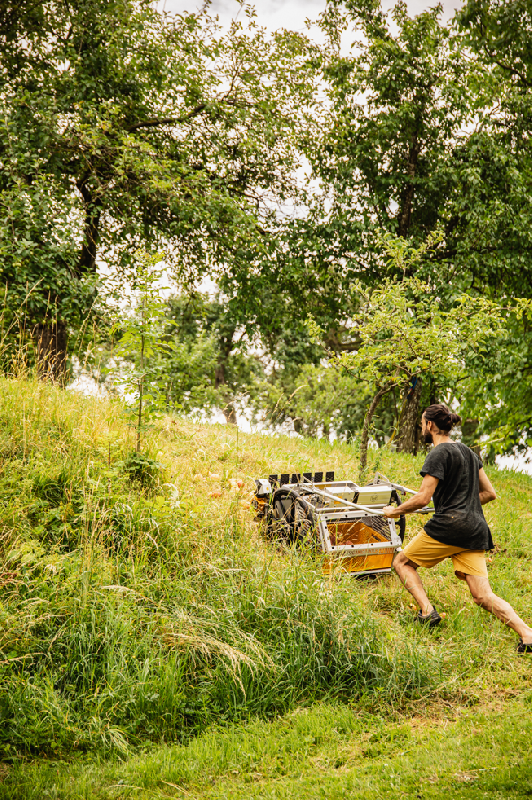 Appareil de récolte rapide pour pommes, poires et fruits secs