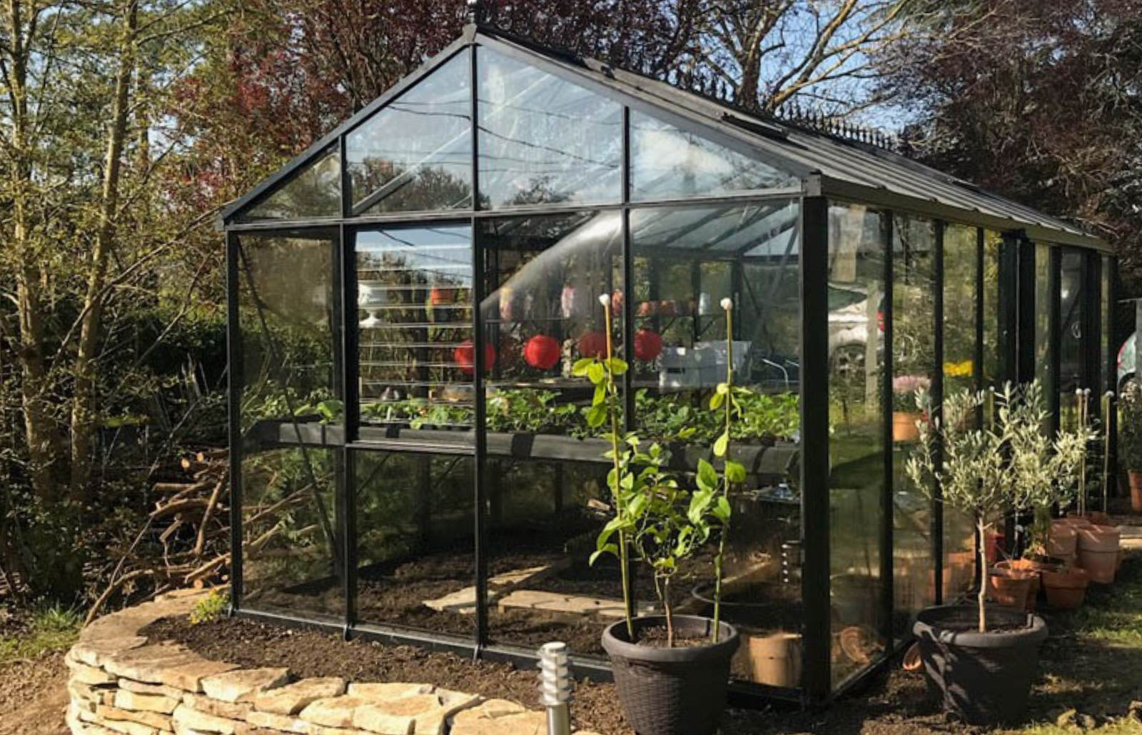 Serre en verre polyvalente, spacieuse, modulable pour vos plantes sensibles   - Helios Master_3