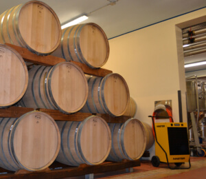 Déshumidificateur mobile de chantier - Master DH 62, à condensation, robuste et performant_3