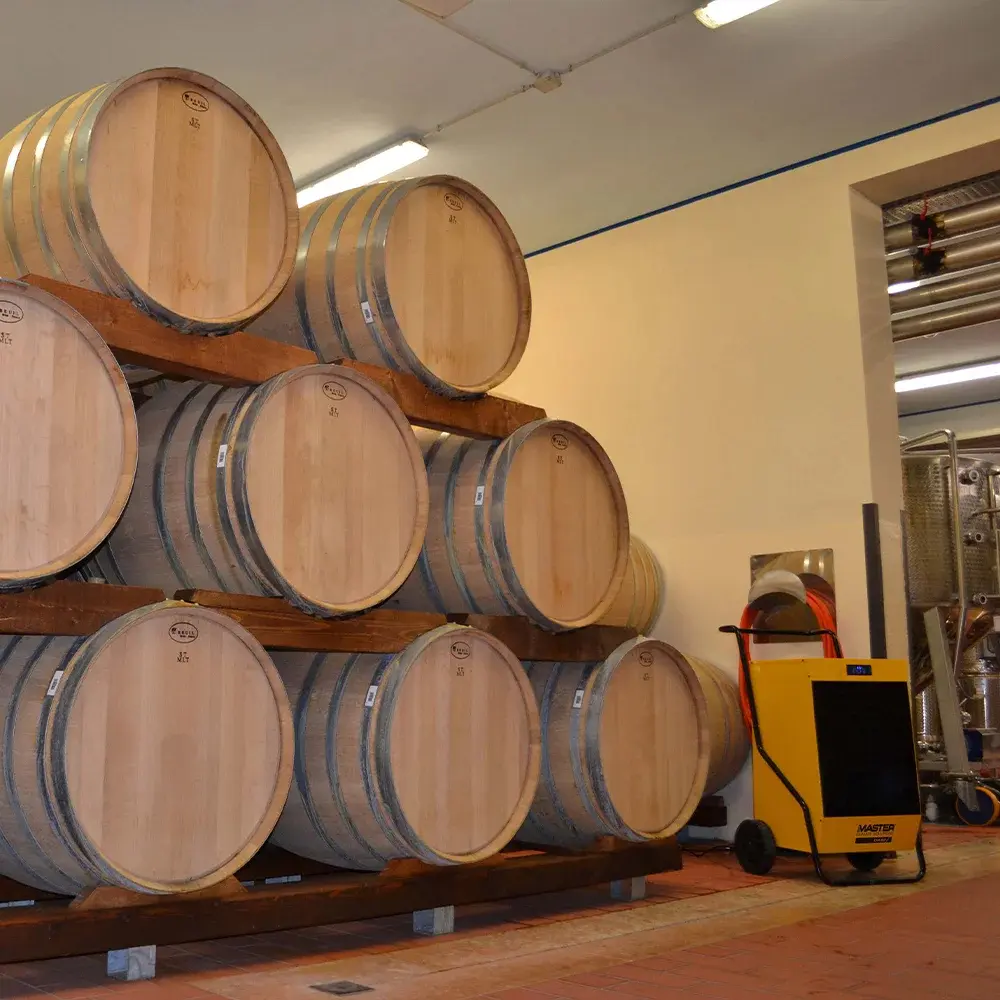 Déshumidificateur mobile de chantier - Master DH 62, à condensation, robuste et performant_3