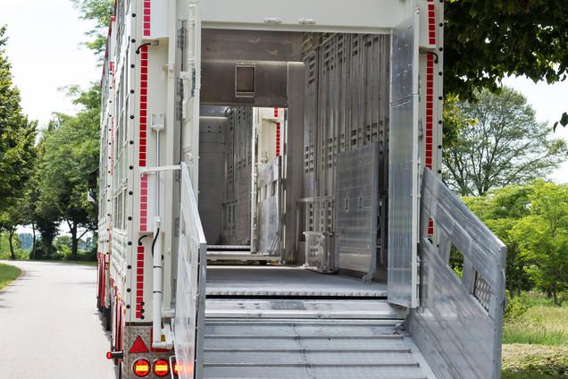 Rba32 - remorque bétaillère - carrozzeria pezzaioli - essieux jumelés simples fixes de 10000 kg_3