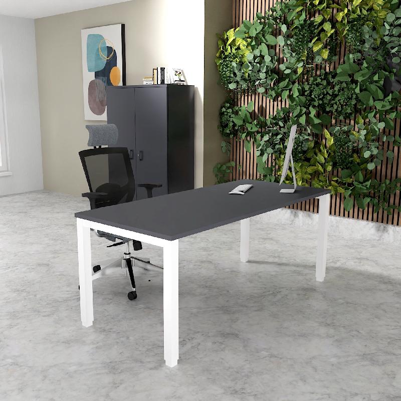 Bureau Professionnel Tempo Mobel Linea. - 140, Anthracite, Non_0