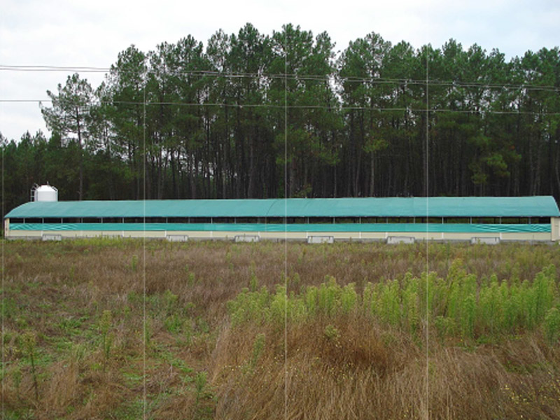 Tunnel Louisiane avec pieds à ancrer ou sceller dans le béton