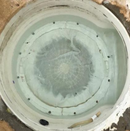 Pré-filtres piscine pour débris et corps gras - modèle Magiline