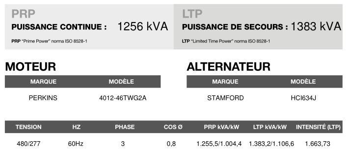 CP-1405 60 Hz triphasé - Groupe électrogène en container Inmesol - 1256 kVA PRP / 1383 kVA LTP_3