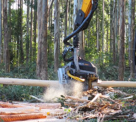 Tetes d'abatteuses kesla 25rhs-ii_3