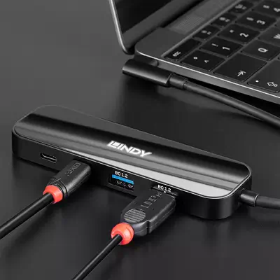 Lindy 43334 hub & concentrateur USB 3.2 Gen 2 (3.1 Gen 2) Type-C 10000 Mbit/s Noir_3