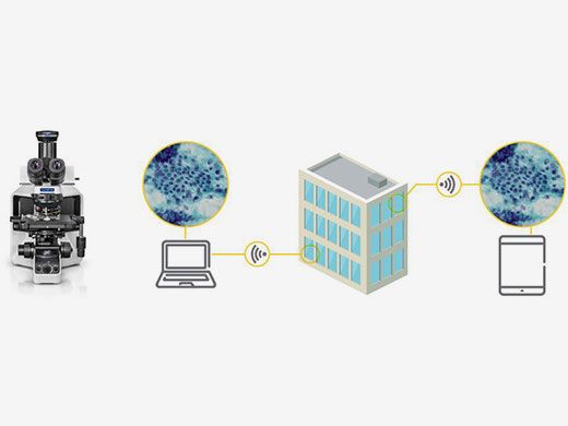 Caméra CMOS DP28 Olympus - Ultra-haute définition 4K - 8,9 MP - Microscopie et enseignement_3
