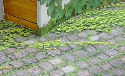 Service d'impression de moquette - New Display - Sublimation grand format jusqu'à 3m sans raccord_3