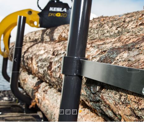 Grappin forestier KESLA proG20 - pour petits grues et traitement du bois_3