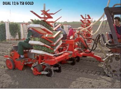 Dual 12 Gold - planteuse Checchi & Magli - distance entre rangs 35-50 cm - rendement 6000 plants/heure_3