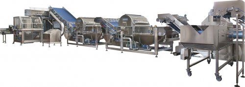 Laveuses industrielles alimentaires - Tecnoceam - 500 à 5000 kg/h - lavage à barbotage avec extraction par ruban percé_3