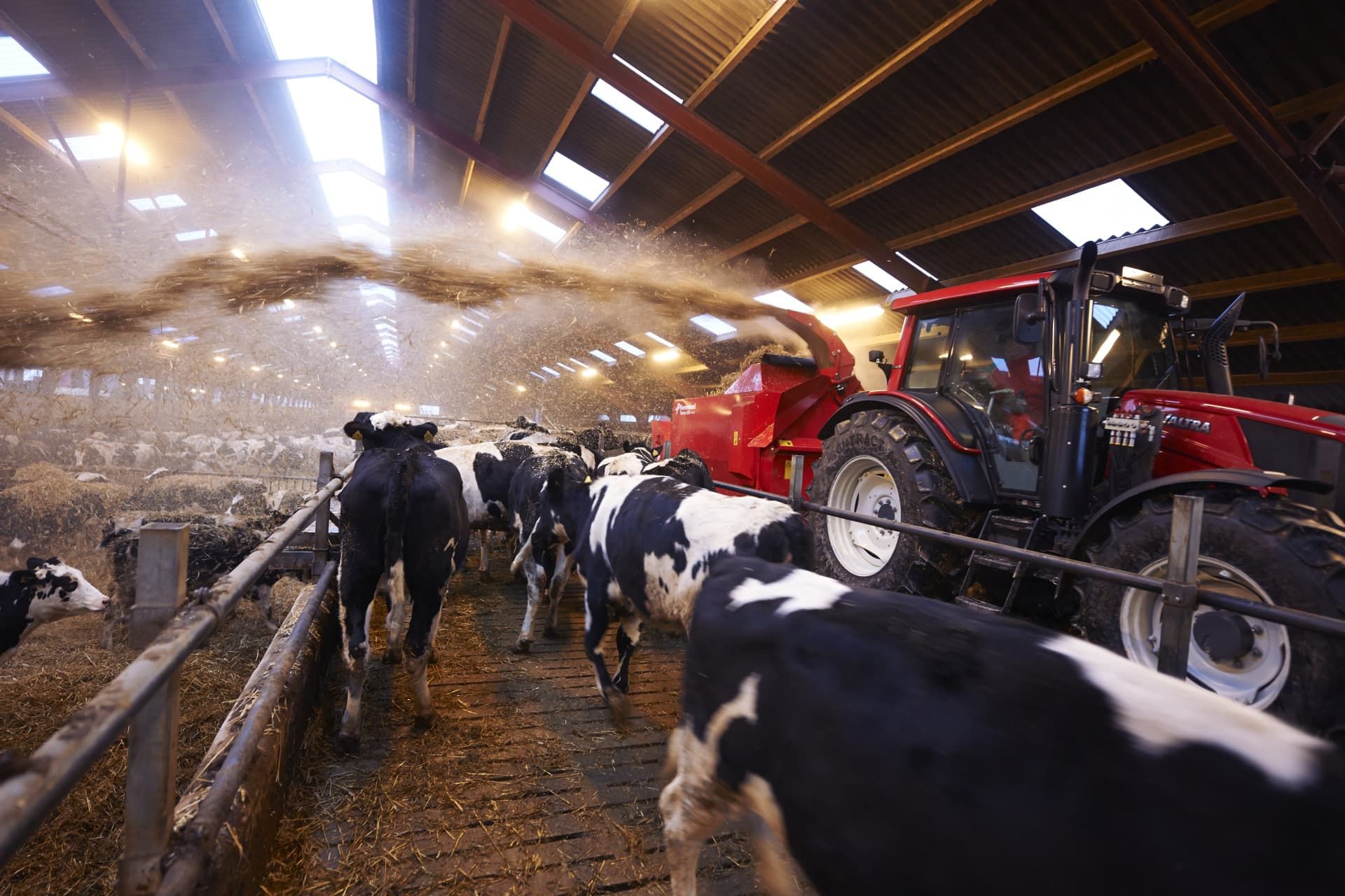 Kverneland 853 Pro - 856 Pro Pailleuse agricole - capacité 3 à 6m3 - distance de paillage jusqu'à 25m - système anti-bourrage_3