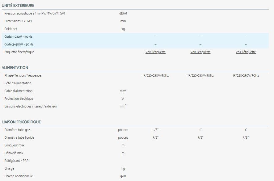 Dcv - climatiseur professionnel - airwell - haute pression statique externe_3