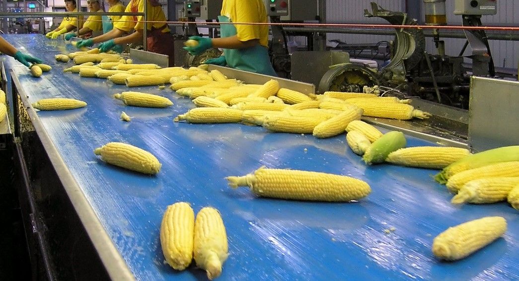 25T10 Securev+ - Bandes transporteuses à entraînement positif - Martial Babin - Faible allongement et armature Kevlar_3