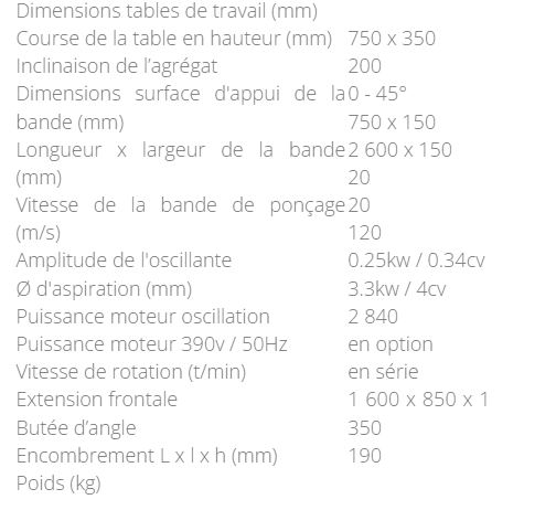 Ponceuse de chants oscillante triphasée avec caches amovibles - Réf. PCHO2600-TRI_3