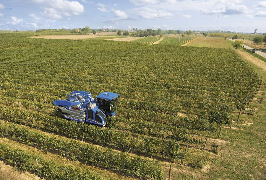 Machine à vendanger puissante 144 ch - New Holland 9050L