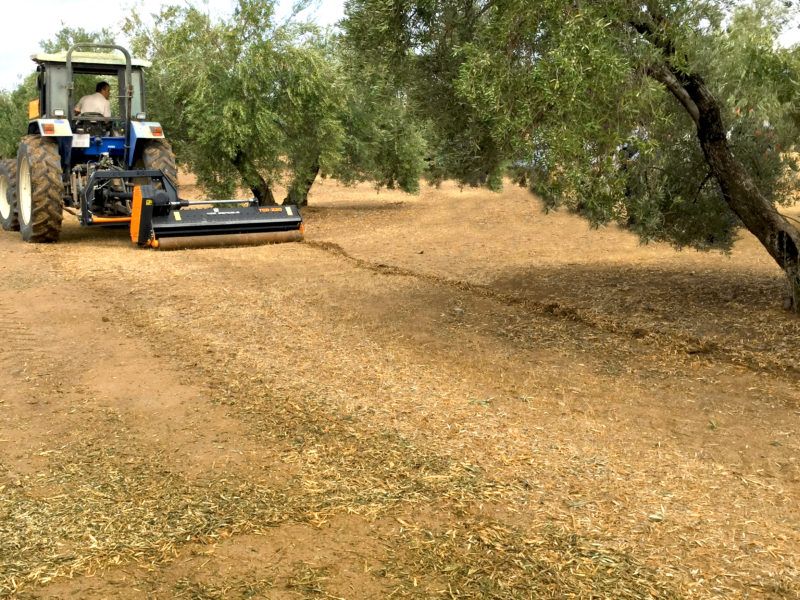 TGD broyeur forestier - TMC Cancela - largeur de travail 160-220 cm - robuste et léger - puissance 60-100 HP_3