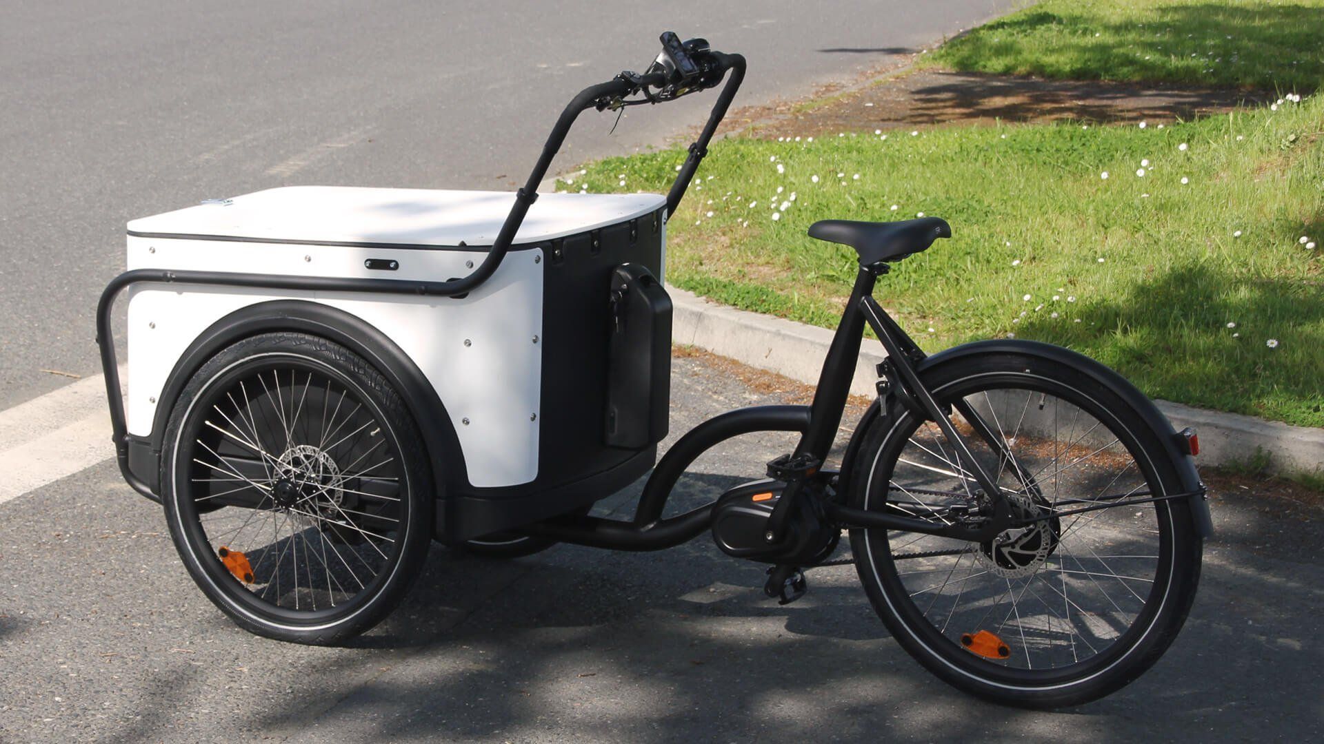 Triporteur à moteur pédalier idéal pour les livraisons