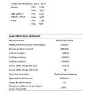 Groupe électrogène 400/230 V pour usage industriel