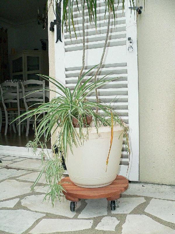 Support à roulettes bois rond 