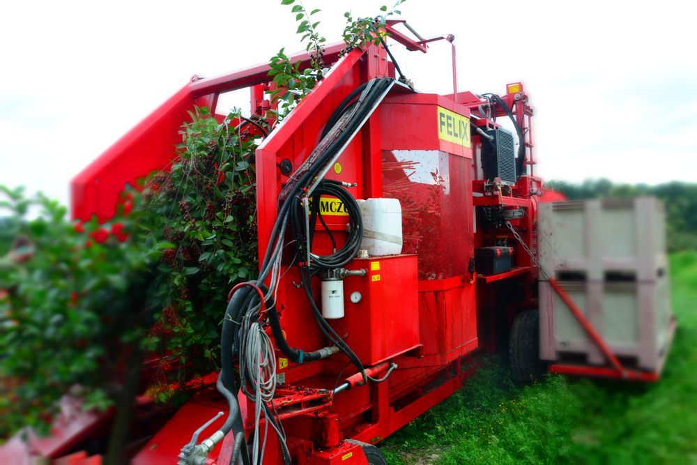 Récolteuse de cerises et prunes FELIX Z - Weremczuk - 80 HP min - Vitesse 0,5 à 1 km/h - Plateforme 1500 kg_4