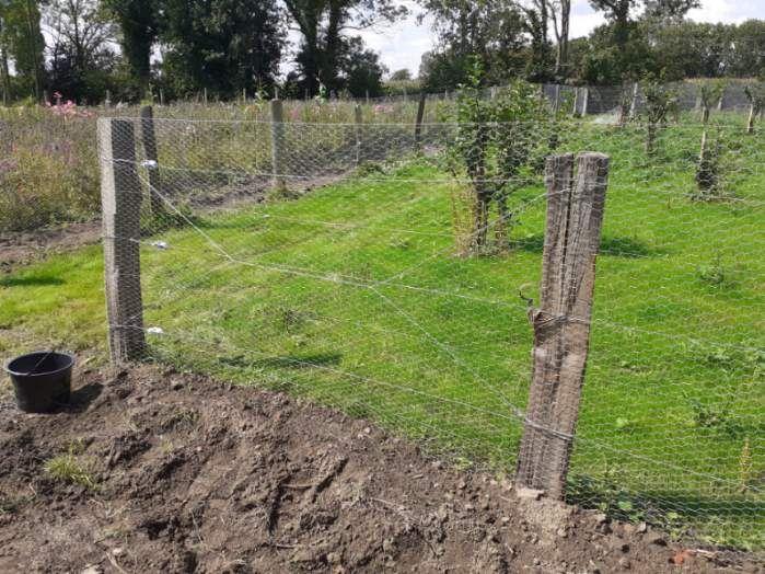 Grillage galvanisé - 1,2 m x 50 m - souple et rigide - mailles 2,5 cm x 2,5 cm - protection contre les lapins_3