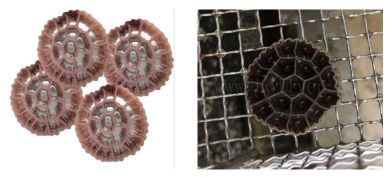 MBBR Bio - Médias de filtration d'eau - Yixing Holly Technology - Système intégré de biofilm et boues activées (IFAS)_3