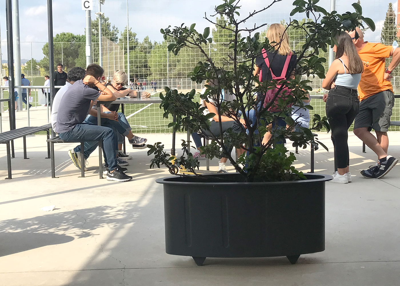 Jardinière ovale UM1115 - Bacs à fleurs et jardinières_3