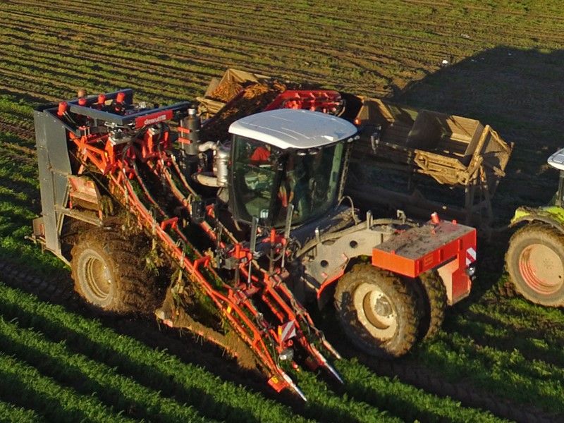 Arracheuse par préhension ZKIIS - Dewulf BV - productivité 3 à 4 ha/j - largeur totale 3290 mm - automotrice à 2 rangs avec élévateur de décharge_3