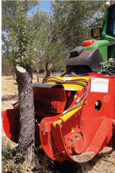 FPC - Rogneuse de souches - Crushingtech - Poids 1400 à 2300 kg - Broyeur forestier pour souches et racines_3