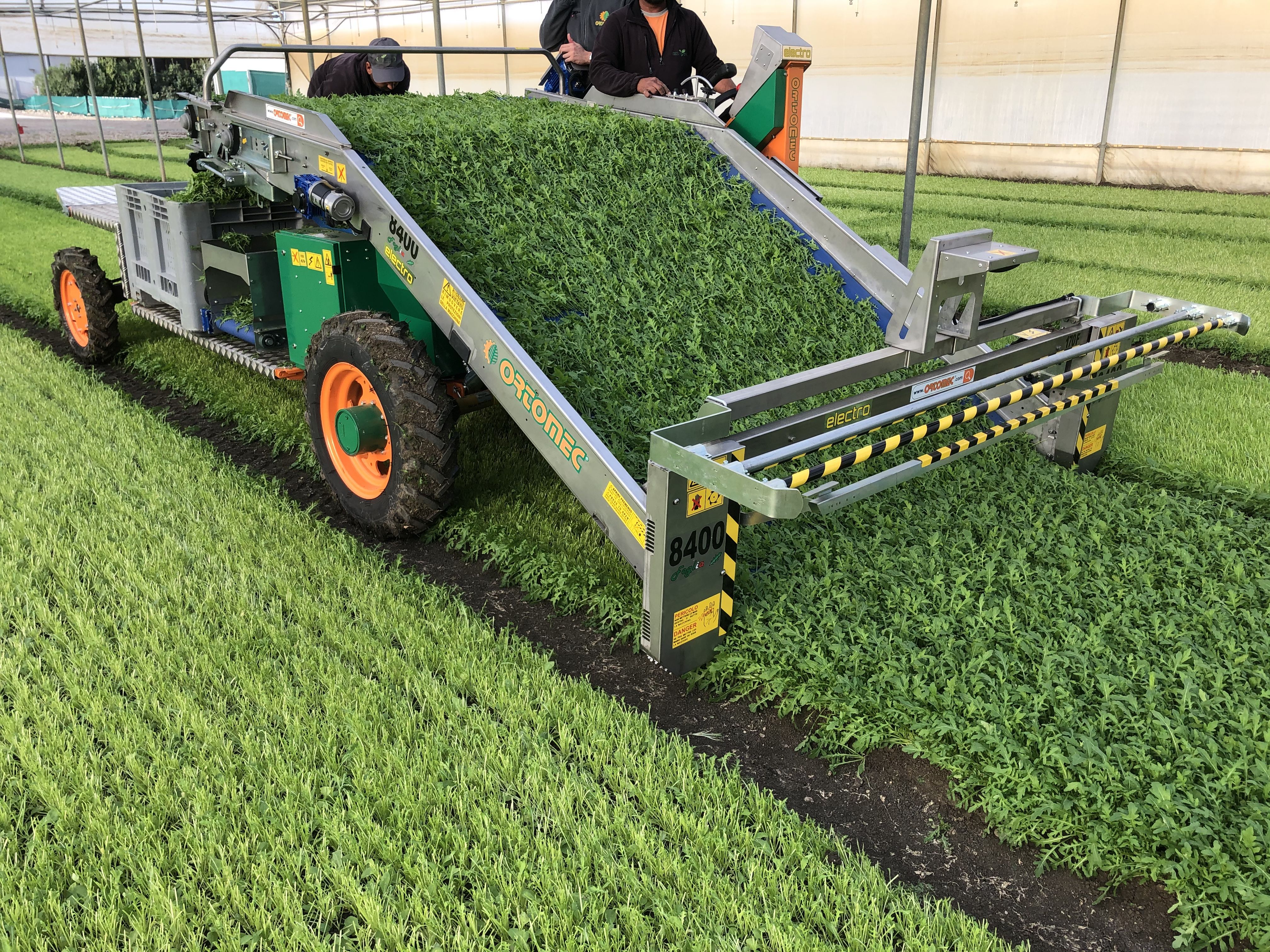 Récolteuse de légumes 8400 electro foglia - ortomec srl - largeur de la tête de récolte 130 à 180 cm_3